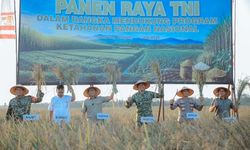 Perkuat Ketahanan Pangan, Gubernur Lampung dan Pangdam XXI/Radin Inten Ikuti Panen Raya TNI Serentak