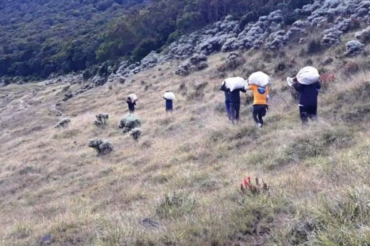 Sejumlah petugas sedang memikul sampah yang berhasil dikumpulkan di jalur pendakian Gunung Gede Pangrango.