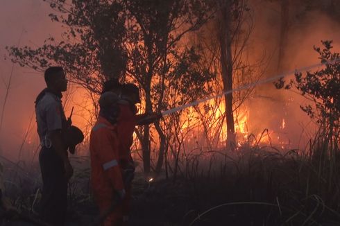 Kebakaran Hutan di Ogan Ilir, Asap Mulai Ganggu Warga