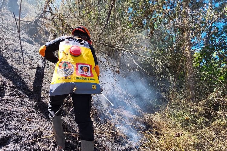 Kebakaran Gunung Semeru Meluas Mencapai 3.072 Hektar