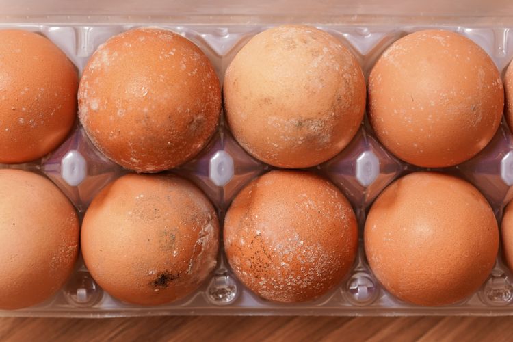 Ada risiko jika kita mengonsumsi telur dengan cangkang yang sudah retak, besar kemungkinan bakteri Salmonella bisa merembes ke dalam telur.