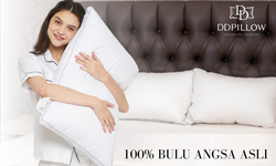 Dianggap Paling Nyaman, Berikut Keunggulan Bantal Bulu Angsa dari DD Pillow yang Kerap Dipakai di Hotel
