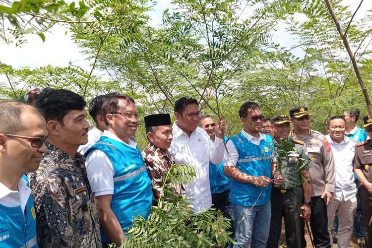 Wakil Mentan RI dan Dirut PLN sedang meresmikan penanaman pohon Indigofera sebagai upaya pengembangan biomasa untuk mengurangi emisi karbon di Bojonggambir, Kabupaten Tasikmalaya, Jawa Barat, Kamis (26/9/2024).