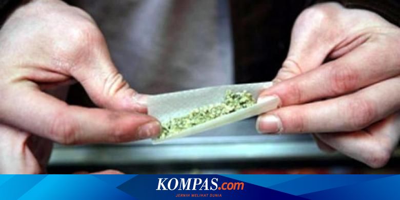 Waspada Ganja Sintetis Yang Mirip Dengan Susu Bubuk