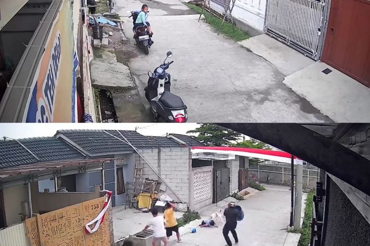Polisi Karantina Pitbull yang Serang Bocah SD di Bandung, Pemilik Terancam Pidana