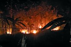 Ada Orang Iseng Bakar Sampah, Satu Hektar Kawasan Hutan Jati Terbakar