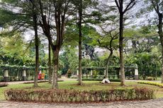 Jalan-jalan ke Taman Tabebuya di Jaksel, Cocok buat Healing