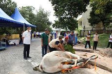 BP Batam Sembelih 30 Ekor Hewan Kurban pada Idul Adha 1443 H