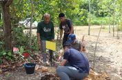 Belantara Foundation Gandeng Perusahaan Jepang Tanam Pohon di Hutan Riau
