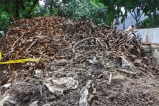 Tumpukan Bekas Kabel dari Gorong-gorong Medan Merdeka Selatan Capai 2 Meter