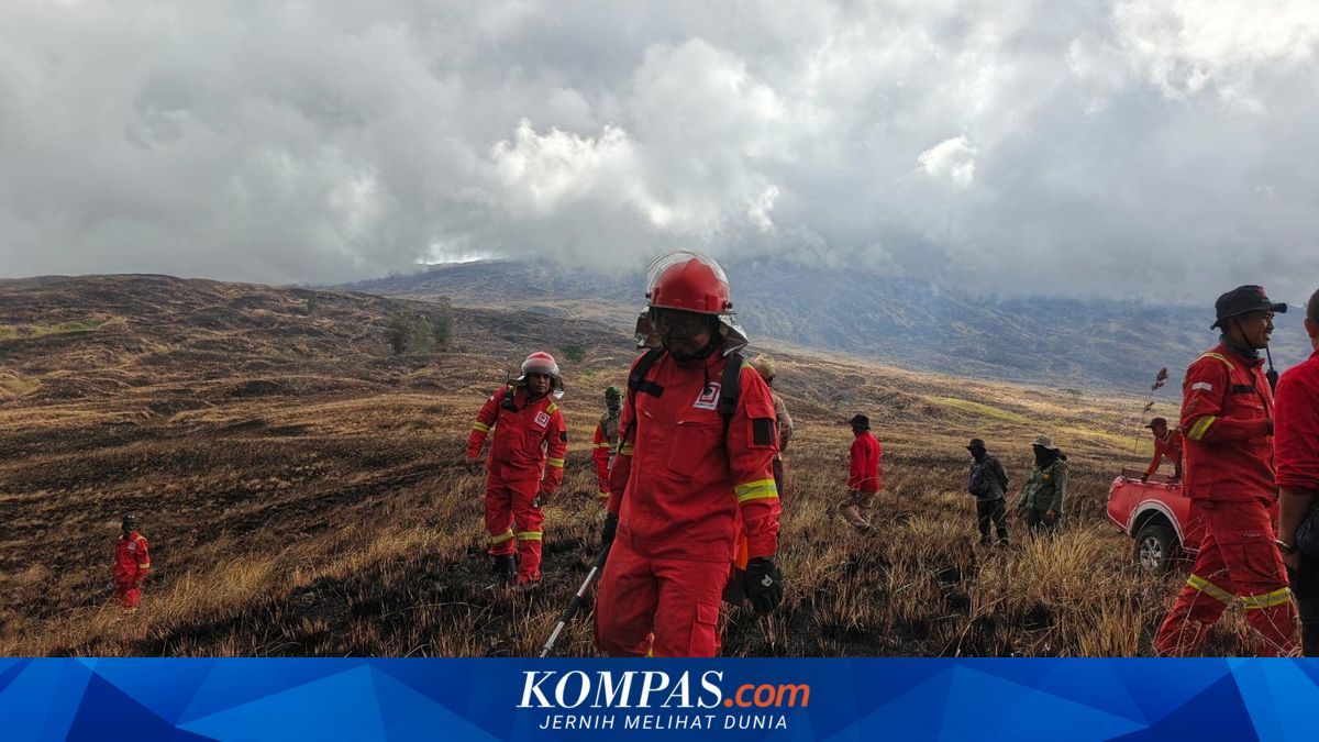 1.956 Hektar Savana Taman Nasional Tambora Terbakar