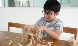 Anak Usia Dini Dilatih Berpikir Kritis, Apa Bisa?