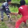 Diperiksa Polisi, 3 Buruh Pelempar Anjing Hidup ke Buaya Mengaku Kesal Bekalnya Diacak-acak