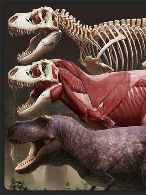Penggambaran terbaru dari wujud T.rex