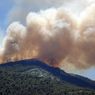 Apa yang terjadi Jika Banyak Menghirup Asap Kebakaran Hutan?