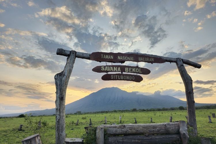 Panorama Taman Nasional Baluran, Banyuwangi, Jawa Timur, Senin (13/3/2023)