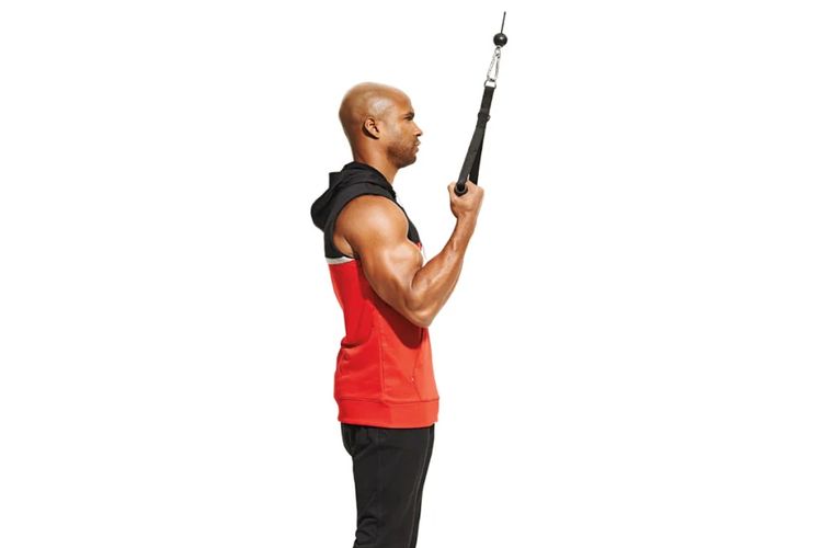 Triceps Pushdown