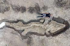 Fosil Naga Laut Terbesar dan Terlengkap Ditemukan di Inggris, Berumur 180 Juta Tahun