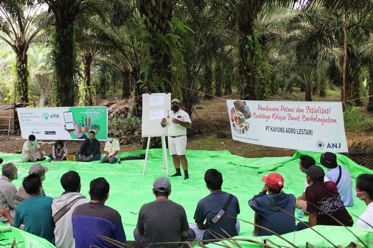 PT Austindo Nusantara Jaya Tbk (ANJ) melakukan sosialisasi budidaya kelapa sawit berkelanjutan kepada para petani mitra. (DOK. ANJ)