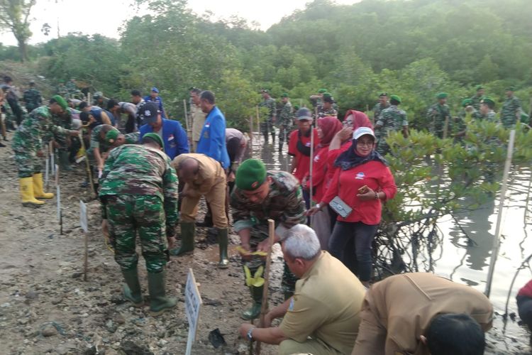 Proses penanaman mangrove di Pantai Cemara, Banyuwangi, Jumat (21/7/2023)