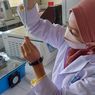 Mahasiswa UGM Teliti Potensi Daun Sirih Jadi Pengobatan Transplantasi Hati