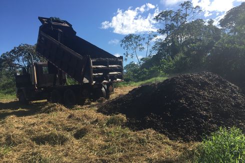 Studi Baru Sebut Limbah Kopi Bantu Pemulihan Hutan Tropis