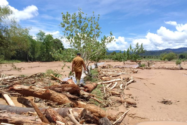 Puluhan hektar sawah di dataran tinggi Krayan Nunukan Kaltara tersapu banjir. Mata pencaharian masyarakat inipun gagal panen dan mengakibatkan ancaman kekurangan pangan