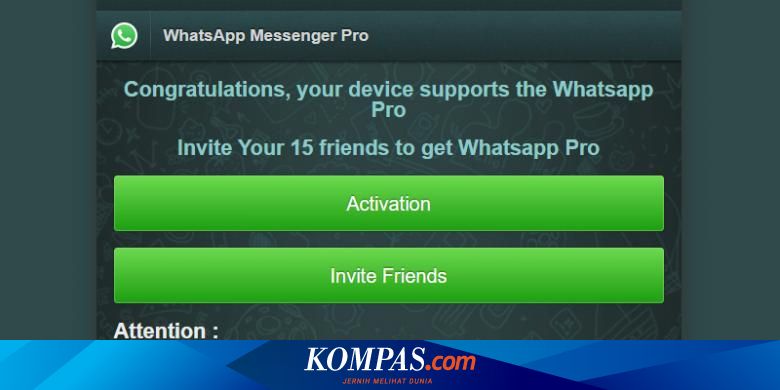 Awas Pesan Tipuan Whatsapp Pro Beredar Di Whatsapp