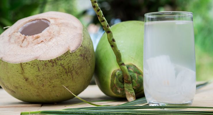 Air Kelapa Muda, ZPT Alami dari Alam Tropis