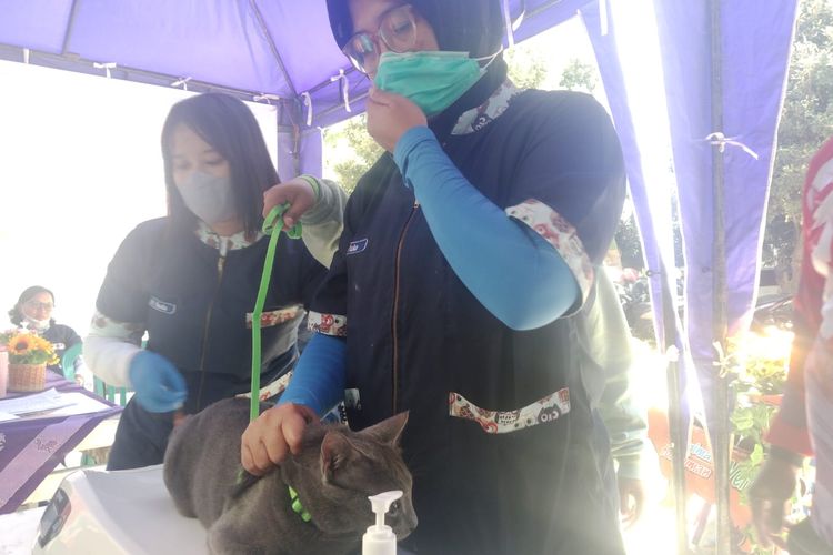 Petugas ketika suntik vaksin anti rabies ke hewan peliharaan pada Jumat (21/7/2023) di Kantor Dinas Peternakan dan Perikanan Kabupaten Situbondo Provinsi Jawa Timur.