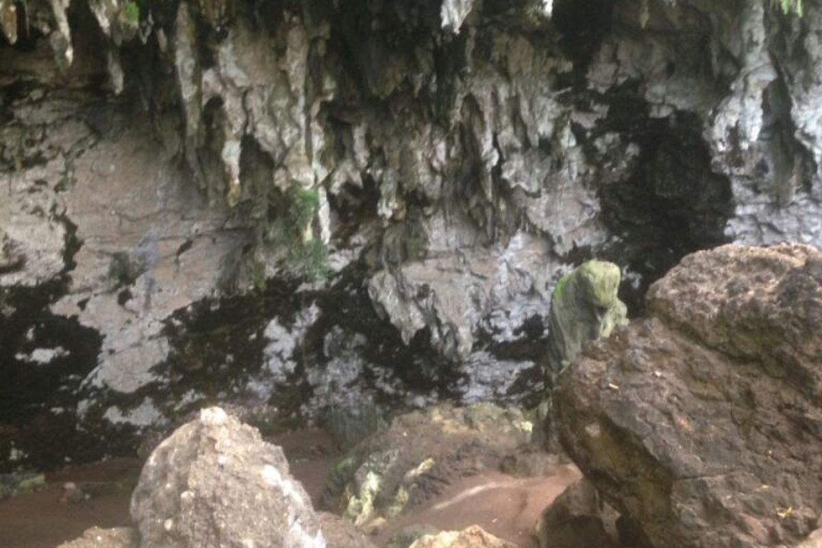 Pemilik tanah sekaligus pengelola Gua Braholo, Kusno (60), saat berada di mulut gua tersebut di Gunungkidul, Yogyakarta.