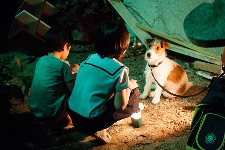 Film How to Steal a Dog tayang pada 2014 dan tersedia di Viu. 