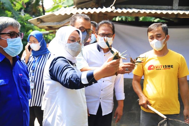 Menteri Ketenagakerjaan (Menaker) Ida Fauziyah saat mengunjungi kelompok budidaya Tasik Lobster (TASTER) di Kecamatan Bungursari, Kota Tasikmalaya, Provinsi Jawa Barat, pada Rabu (9/6/2021).