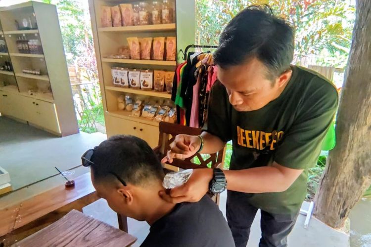 Mencari Sehat Lewat Sengat Lebah, Terapi Unik di Lembah Suhita Lampung Mulai Dilirik Warga