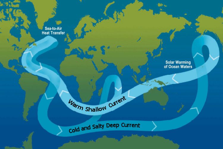 Pergerakan air laut kurang asin dan hangat (densitas rendah) dan aor laut asin dan dingin (densitas tinggi) dalam sirkulasi termohalin. 