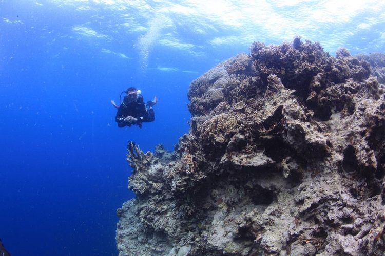 Pulau Padamarang, Kabupaten Kolaka