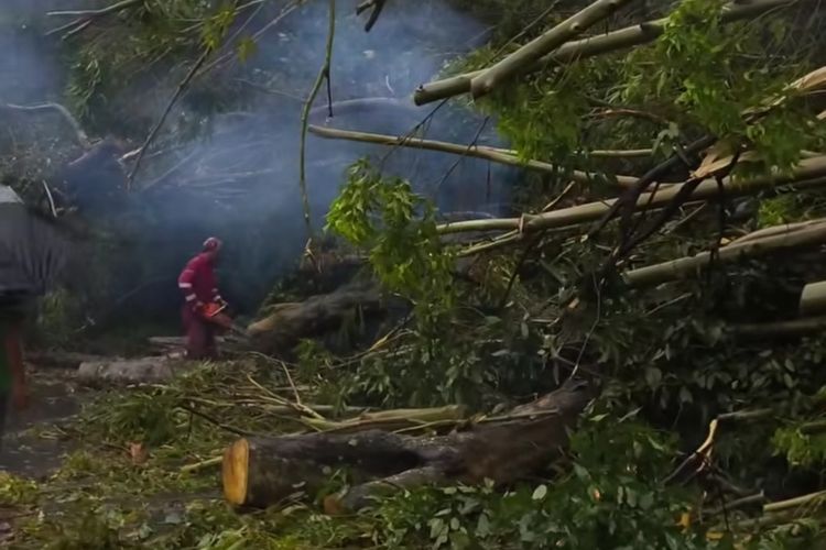 Pohon Tumbang di Jalan Siantar-Parapat, Arus Kendaraan Dialihkan hingga Listrik Padam