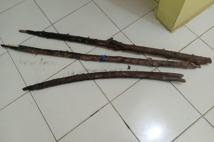 Barang bukti tiga potong kayu bekas terbakar yang diamankan polisi dari lahan yang terbakar milik tersangka PS di Desa Rawa Sekip, Kecamatan Kuala Cenaku, Inhu, Riau, Jumat (12/7/2019). Dok. Polres Inhu