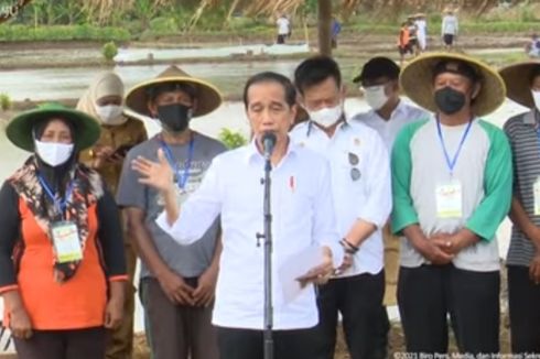 Selesai Resmikan Bendungan, Jokowi Ikut Tanam Padi Bareng Petani di Trenggalek