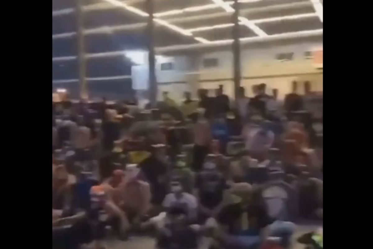 Tangkapan layar video orang yang mengaku sebagai anjing berkumpul di Jerman.