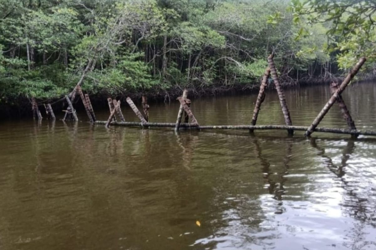 Taman Nasional Ujung Kulon (TNUK) menutup muara sungai untuk mencegah perburuan badak, Senin (24/2/2025).