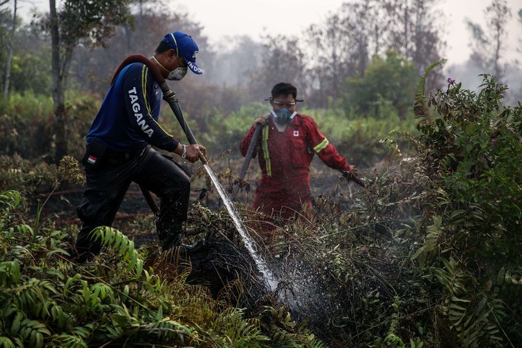 Personel pemadam kebakaran berupaya memadamkan Kebakaran hutan dan lahan (Karhutla) di Jalan Tjilik Riwut Km 10, Patuk Katimpun, Palangka Raya, Kalimantan Tengah, Minggu (29/9/2019).