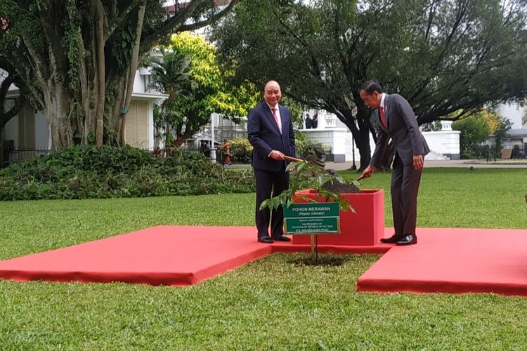 Presiden Joko Widodo dan Presiden Vietnam Nguyen Xuan Phuc menanam Pohon Merawan di Istana Kepresidenan Bogor, Jawa Barat, pada Jumat (22/12/2022).