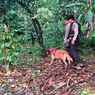 Buru Pembunuh Penjual Gorengan, Polisi Blusukan di Hutan Siang-Malam