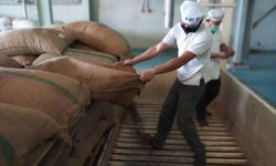 Kementan Kawal Ekspor 300 Ton 