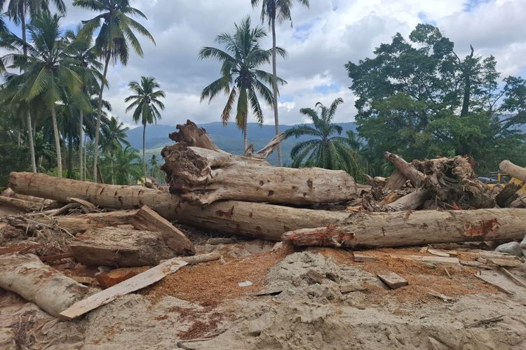 Ini calon lokasi pendirian Monumen Bencana Antropogenik di Desa Tolang Julu, Kecamatan Sayur matinggi, Tapanuli Selatan. Foto diambil Senin (5/1/2026).