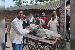 Banjir Nepal Bawa Ikan 'Tak Biasa' ke India, Warga Diminta Tak Makan dan Menjualnya
