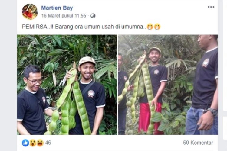 Tangkapan layar dari akun Facebook Martien Bay.