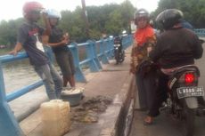 Ikan-ikan Kali Surabaya Mati Mendadak