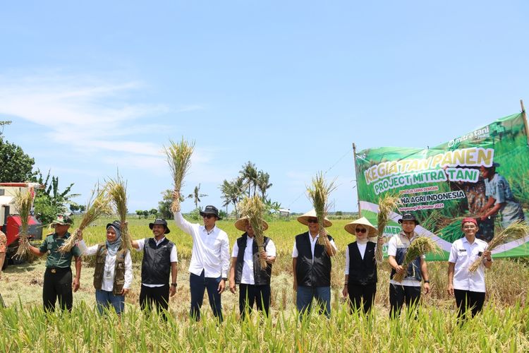 Direktur Bisnis Perum Bulog Febby Novita, Direktur Human Capital Perum Bulog Sudarsono Hardjosoekarto, CEO Pandawa Agri Indonesia Kukuh Roxa, dan perwakilan petani muda Arvy Rizaldy menghadiri penyerapan gabah Program Mitra Tani Bulog di Desa Watukebo, Kabupaten Banyuwangi.